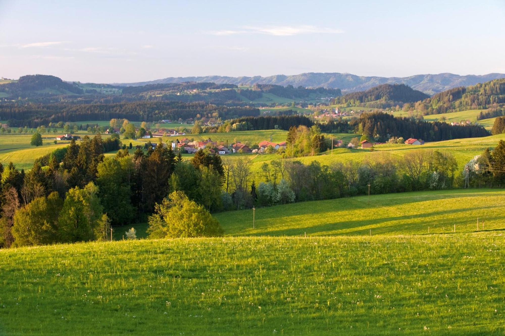 Allgaeu-Glueck Gruenenbach Grunenbach Εξωτερικό φωτογραφία